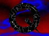 Shadow-Q